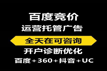 SEO策略在电商平台的成功应用案例